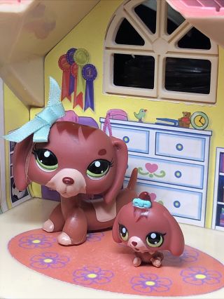 Littlest Pet Shop Lps Rare Mommy And Baby Set Dachshund Dog 3601 3602 Blemished