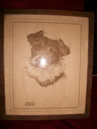 Lovely Framed Dog Sketch,  