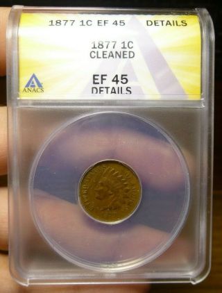 1877 Indian Head Cent 1c Rare Key Date Anacs Xf45 Details