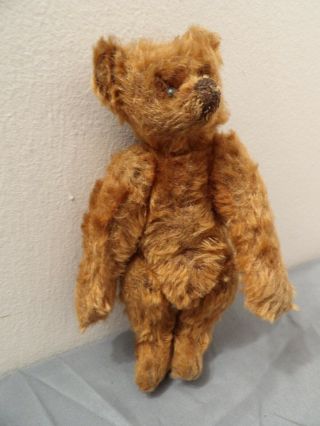 Antique Early Rare Steiff Cinnamon Teddy Bear 8,  Inch With Ff Button Cute 20 
