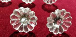 8 Vintage Clear Pressed Glass Flower Drawer Knobs Handles Pulls 1 - 5/8 " & Screws