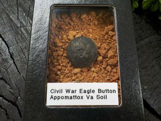 Rare Vintage Civil War Eagle Button In Appomattox Virginia Confederate Camp Soil