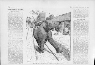 1905 Antique Print - Books Tale Of A Jovial Elephant William Ralston (301)