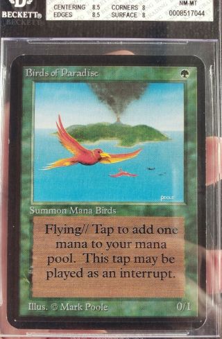 NM/MINT MTG BGS 8 Magic Alpha Birds of Paradise,  w/2x 8.  5 SUBs, 2