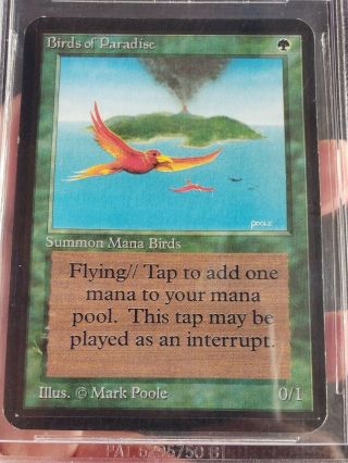 NM/MINT MTG BGS 8 Magic Alpha Birds of Paradise,  w/2x 8.  5 SUBs, 3