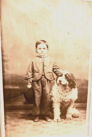 Antique Small Cabinet Photo,  Young Boy With English Sheep Dog - Wilkesbarre,  Pa
