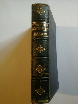 Antique Book Circa 1900 