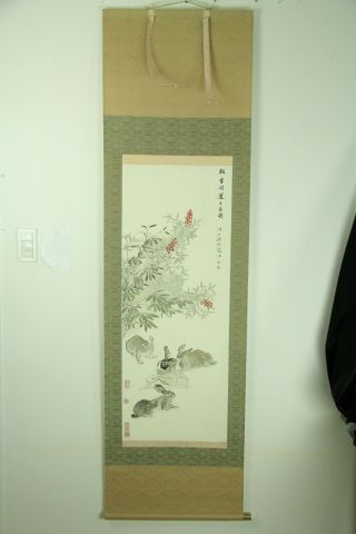 Dec073 Chinese Hanging Scroll Rabbit Hand Painted Signed On Silk