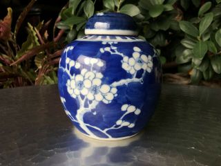 Antique Chinese Qing Blue And White Prunus Ginger Jar With Lid