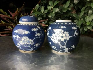 Antique Chinese Qing Blue And White Prunus Ginger Jars X 2 - Small