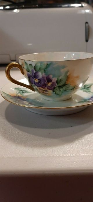 Vintage Bavaria Z S & C Tea Cup And Saucer With Gold Trim Hand Painted