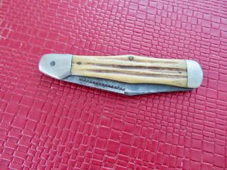 Vintage/antique Stag Handle Folding Knife