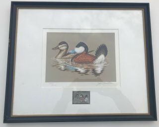 1981 Federal Duck Stamp Print: Ruddy Duck By John S.  Wilson Signed & Numbered