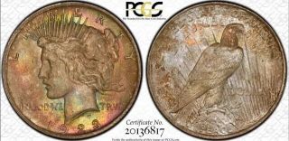 Cac Rainbow Toned 1923 Peace Dollar Pcgs Ms64 Ultra Rare Cac