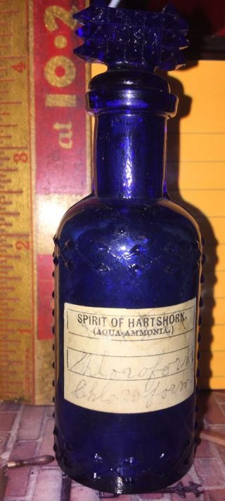 Vintage Rare Cobalt Blue Embossed Poison Bottle
