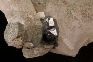 RARE Crichtonite Crystal on Quartz SELVA,  SWITZERLAND - Ex.  Robertson 3