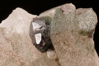 RARE Crichtonite Crystal on Quartz SELVA,  SWITZERLAND - Ex.  Robertson 6