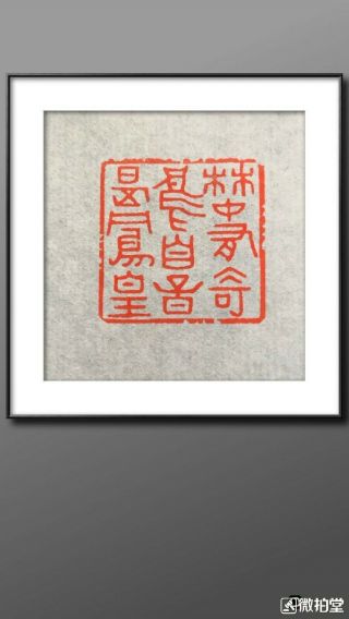 Chinese Stone Hand Carved Seal Stamp 林中有奇鸟 自称是凤凰