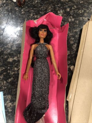 Rare 1976 " Growing Hair Cher Doll By Mego W/key & Booklet