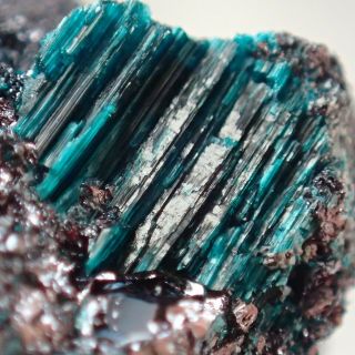 Rouaite Blue Crystals On Cuprite Very Rare Tenke,  Dr Congo