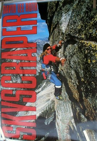 Rare David Lee Roth Van Halen Skyscraper 1988 Vintage Record Store Promo Poster