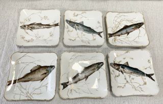 Antique Fish Plates Set Of 6