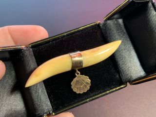 Antique Victorian Gold Filled Bar Pin Brooch With Teeth? Claws? & Charm