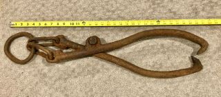 Antique 32” Iron Log Skidding Tongs.  Primitive Historic Functional Decor.