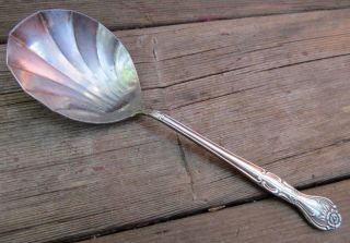 National Silver Co.  Vintage 8.  5 " Silverplate Serving Spoon Pattern Norma 1907