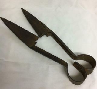 Vintage Antique Old Sheep Shears Primitive Farm Tool For Hand Shearing Unmarked 2