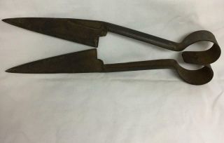 Vintage Antique Old Sheep Shears Primitive Farm Tool For Hand Shearing Unmarked 3