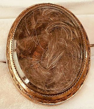 Antique Oval Gold Filled Victorian Mourning Brooch W.  Coils Of Hair