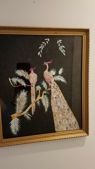 Vintage 1946 Foil Art Peacocks Prison Art Mid Century Framed