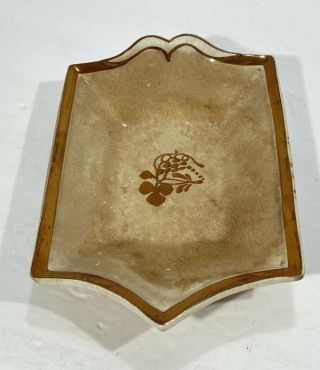 Clementson Bros.  Antique Ironstone China Tea Leaf 8”x5” Tray Plate