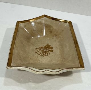 CLEMENTSON BROS.  ANTIQUE IRONSTONE CHINA TEA LEAF 8”x5” Tray Plate 3