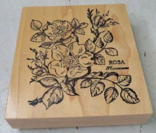 Vintage Psx Rubber Stamp K - 023 Botanical Rosa Flowers Large Rosacoas Wood Base