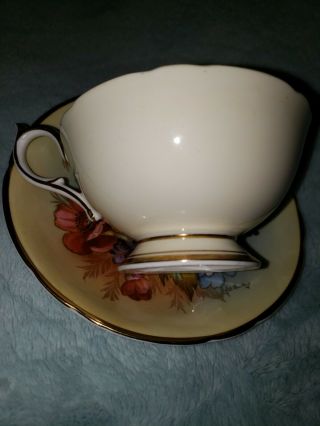 SPECTACULAR and RARE Aynsley Cabbage Rose Teacup and Saucer Signed J A Bailey 3