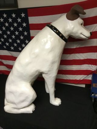 Rare Vintage RCA Victor Nipper Dog 1950s Huge Paper Mache.  35 Inches Tall. 4