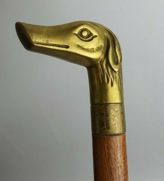 Brass Dog Handle Solid Wood Walking Stick / Cane - Hound Cane Rare Vintage