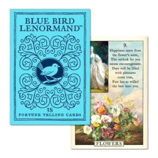 Lenormand Blue Bird Tarot Cards Antique Stuart Kaplan Mlle.  Lenormand 1 Deck En