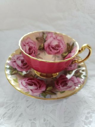 Stunning And Rare Aynsley 9 Pink Cabbage Roses Teacup And Saucer -