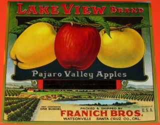 Lake View Rare 1910s Old Santa Cruz - Watsonville Apple Fruit Crate Label
