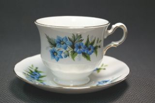 Queen Anne Bone China Blue Floral Tea Cup & Saucer Set England