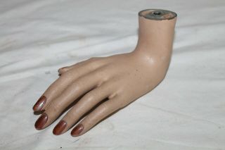 Vintage Mannequin Left Hand With Painted Nails