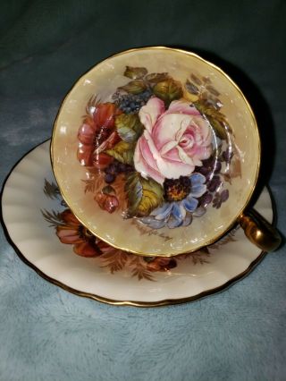 - - SPECTACULAR and RARE Aynsley Cabbage Rose Teacup and Saucer Signed J A Bailey - 5