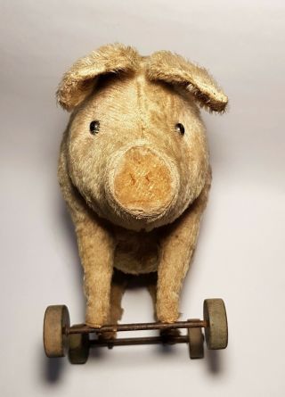 1916 Rare STEIFF 1322 Pig/Schwein Pull Toy/Doll on Wheels w/Mini FF Button/Knopf 5