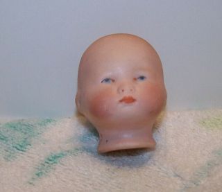 German Bisque Doll Head Small Baby Doll Head