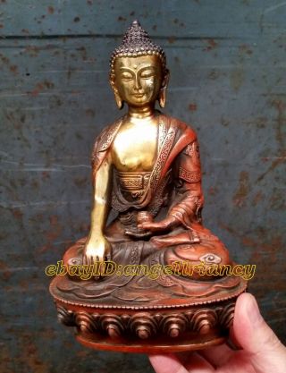 Collectables Wonderful Old Tibet Tibetan Antique Bronze Buddha Old Statue 20cm