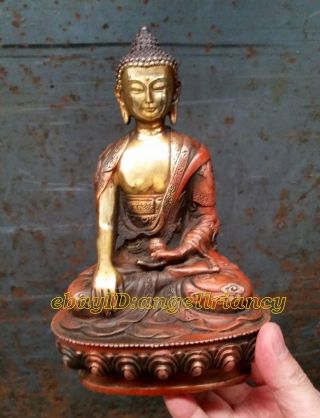 Collectables Wonderful Old Tibet Tibetan antique Bronze Buddha Old Statue 20cm 2