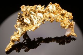 RARE LOCALE Native Gold Crystal with Quartz ANGELS CAMP,  CALIFORNIA - Ex.  Crespi 5